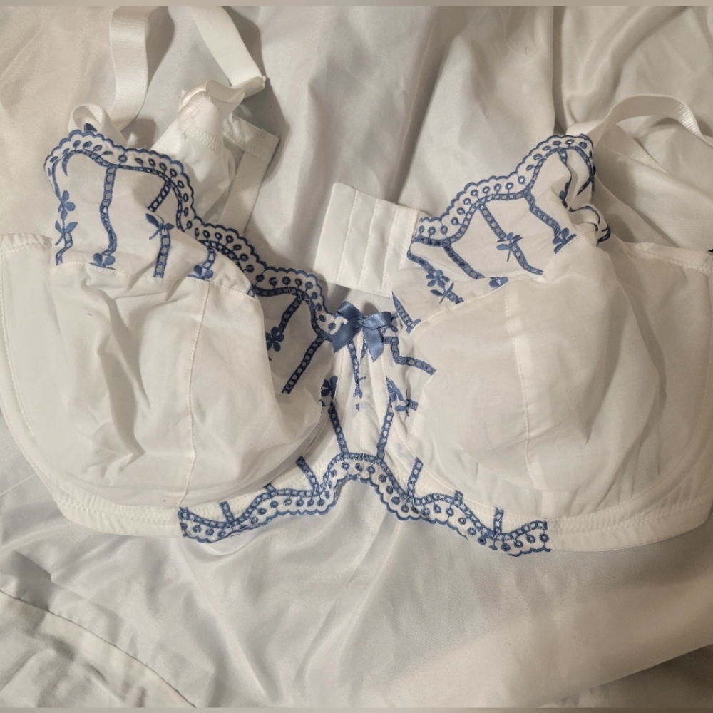 AdoreMe 40H underwire bra